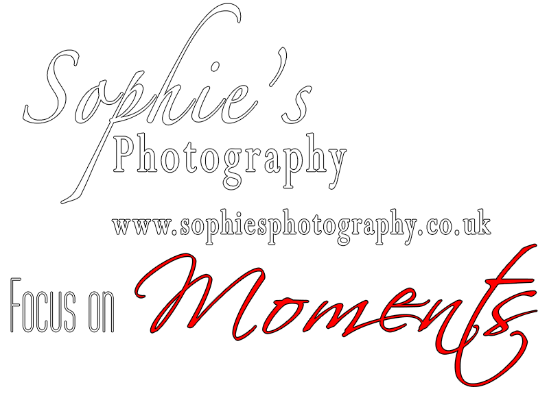 Sophie's Photography